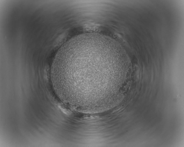 X0000067940712200604131449