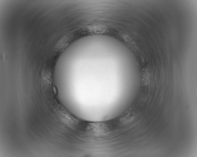 X0000067940713200604131449