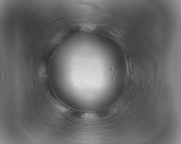 X0000067940714200604131449