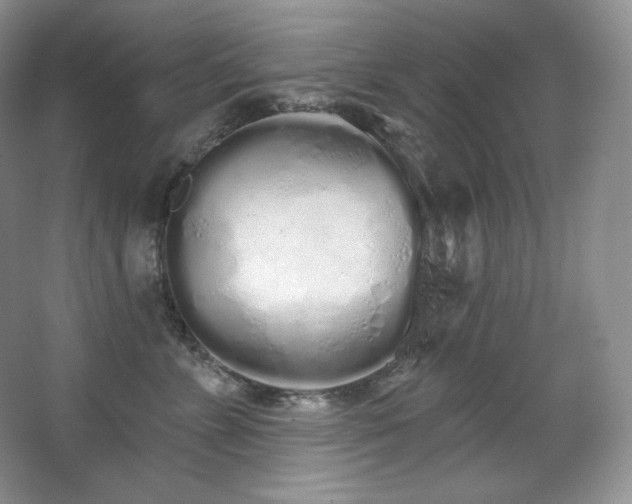 X0000067940715200604131449