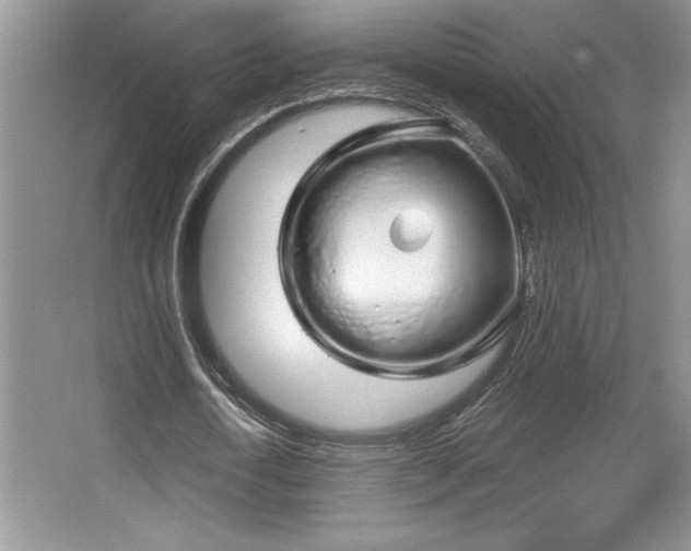 X0000067940722200604131448