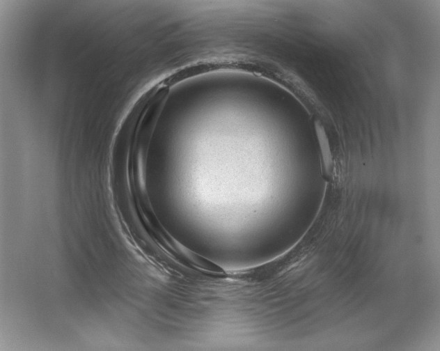 X0000067940724200604131448