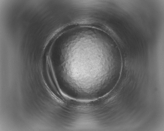 X0000067940725200604131448
