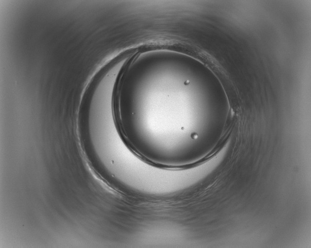 X0000067940726200604131448