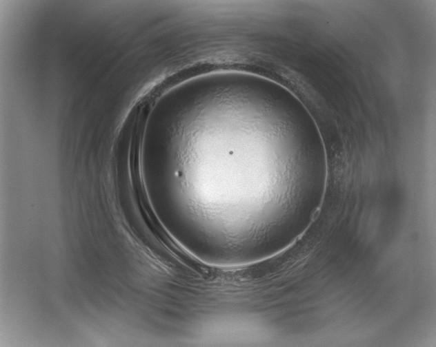 X0000067940727200604131448