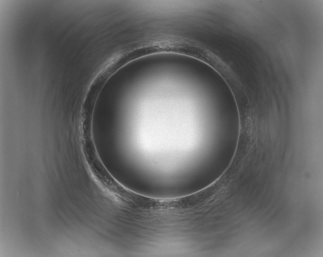 X0000067940730200604131448