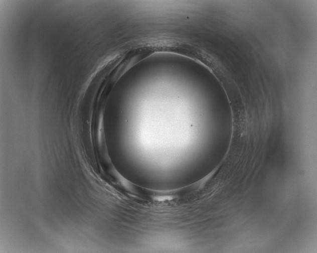 X0000067940731200604131448