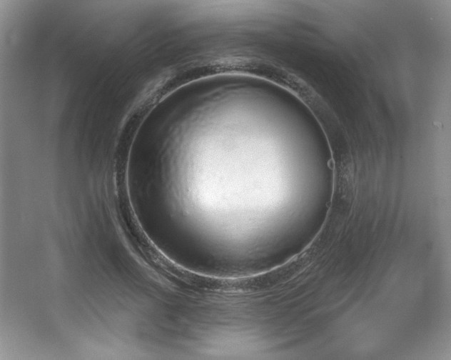 X0000067940734200604131448