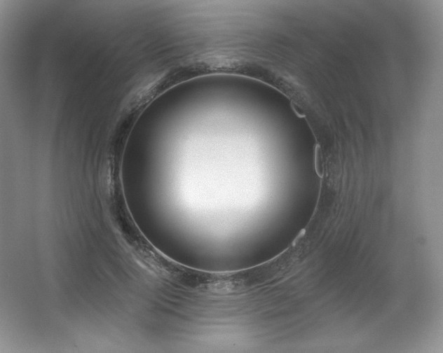 X0000067940740200604131448