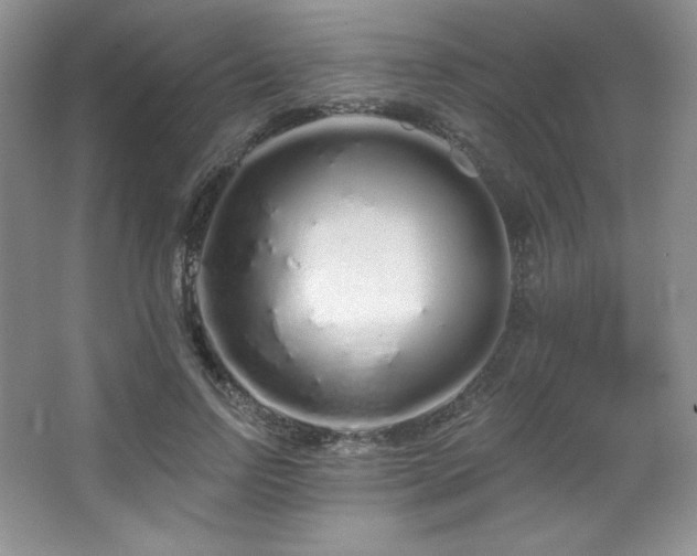 X0000067940742200604131448