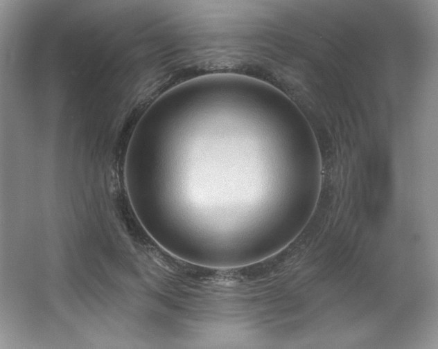 X0000067940743200604131448