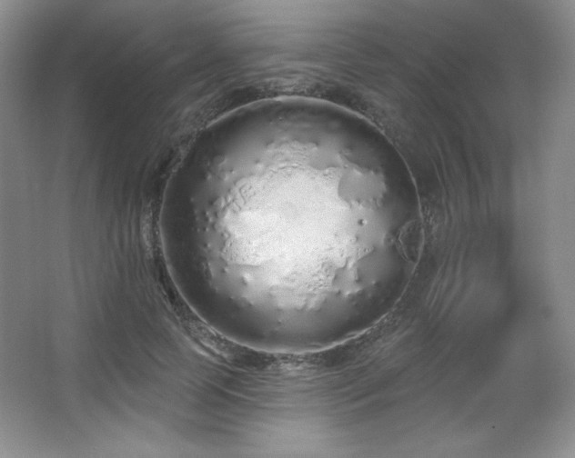 X0000067940745200604131448