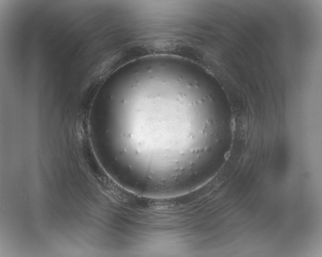 X0000067940746200604131448