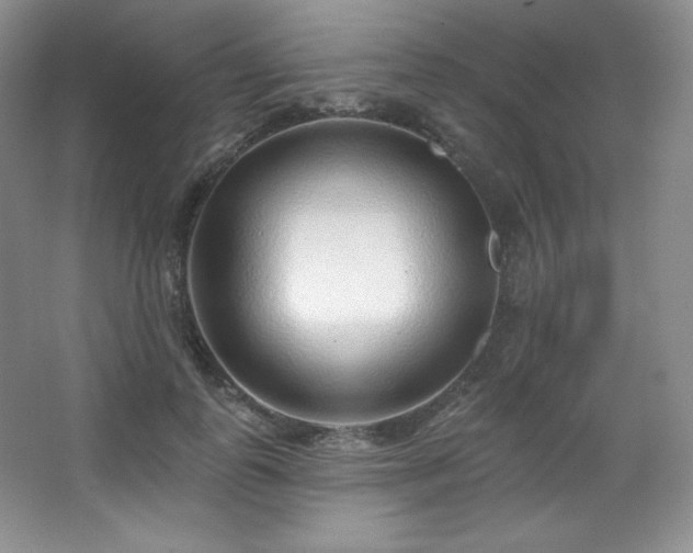 X0000067940747200604131448