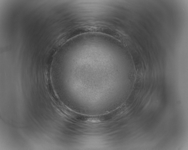 X0000067940749200604131448