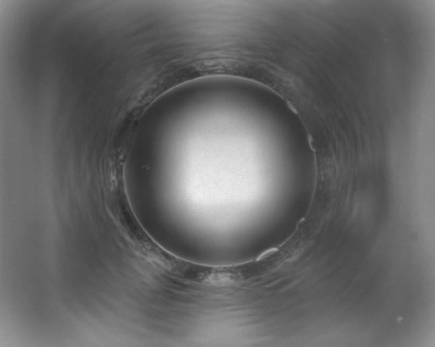 X0000067940751200604131448