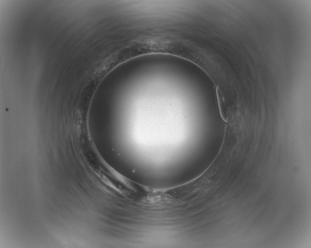 X0000067940752200604131448
