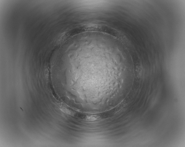 X0000067940753200604131448