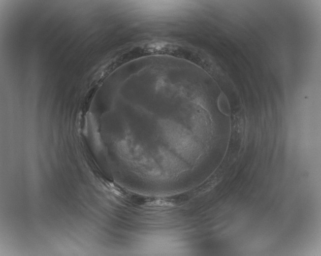 X0000067940754200604131448
