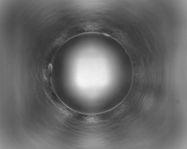 X0000067940755200604131448