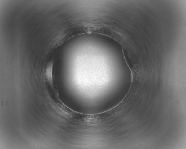 X0000067940756200604131448