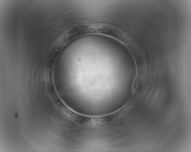 X0000067940758200604131448