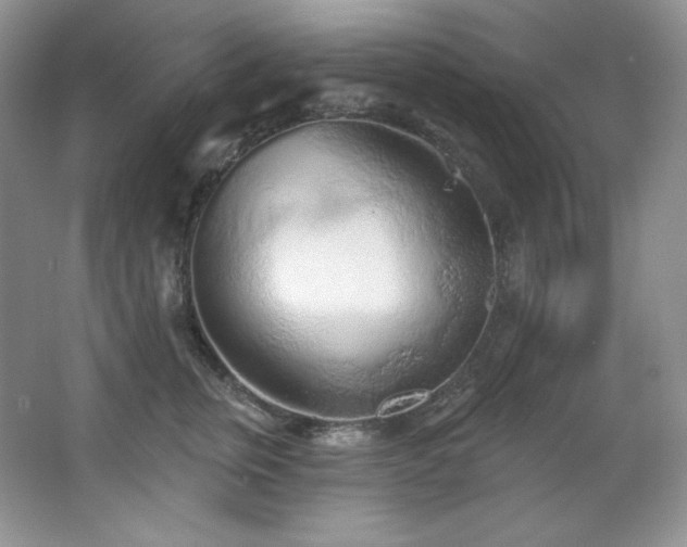 X0000067940759200604131448