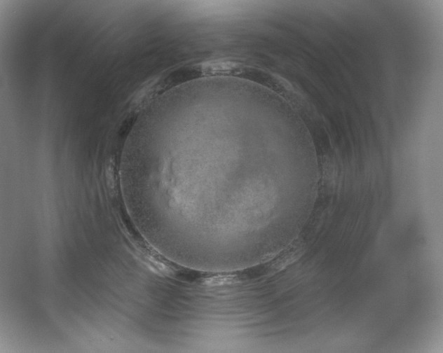 X0000067940761200604131448