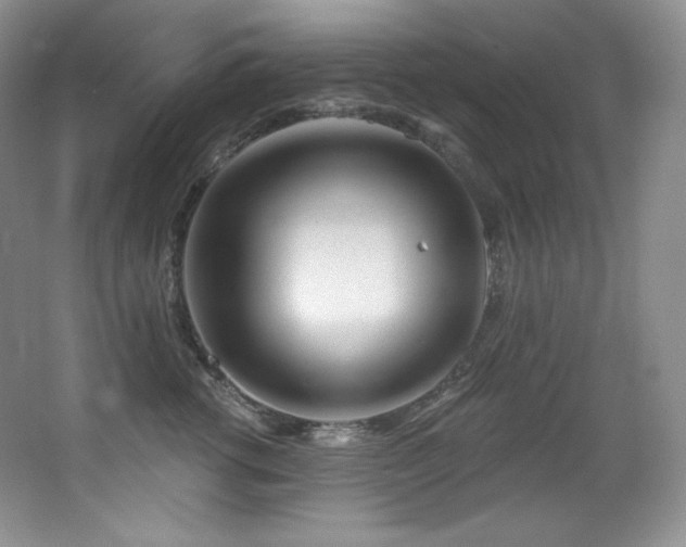 X0000067940762200604131449
