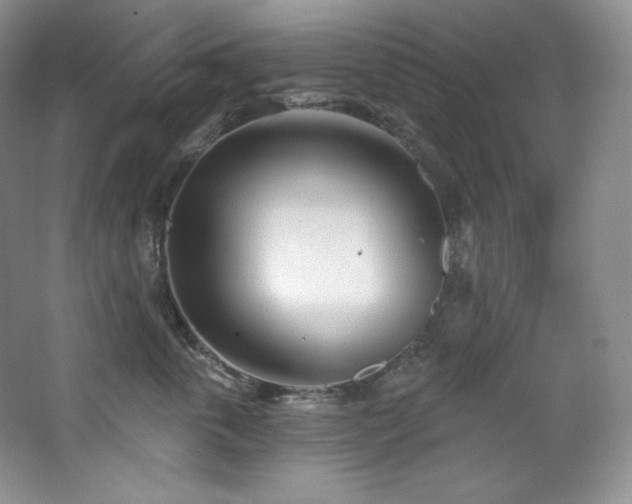 X0000067940763200604131449