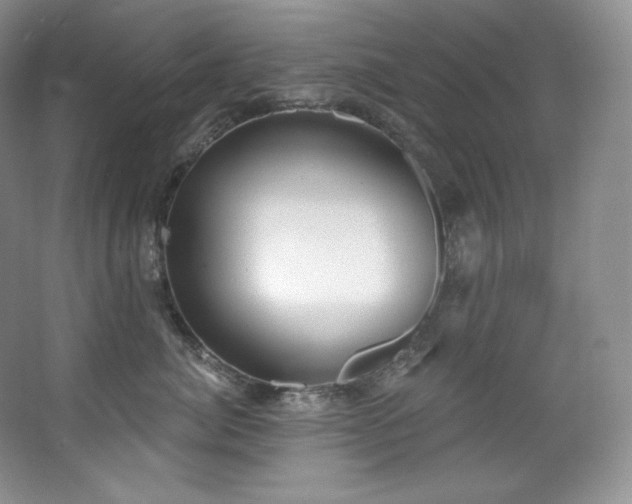 X0000067940764200604131449