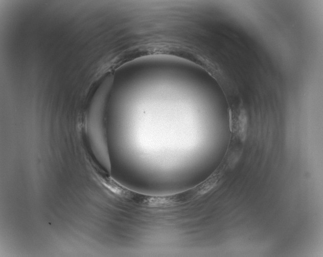 X0000067940766200604131449
