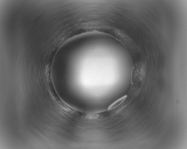X0000067940767200604131449