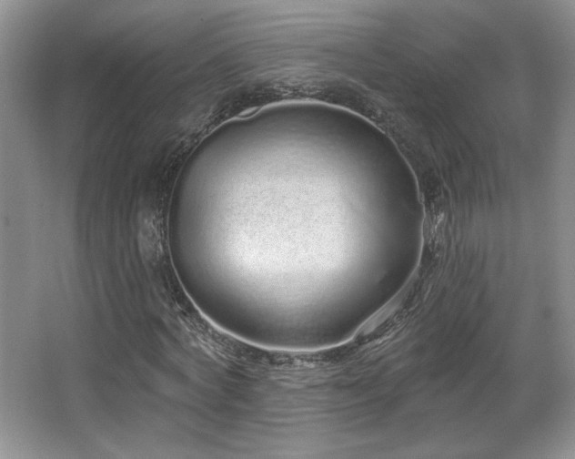 X0000067940772200604131448