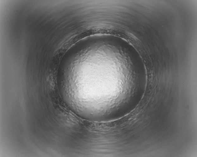 X0000067940774200604131448