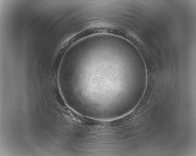 X0000067940775200604131448