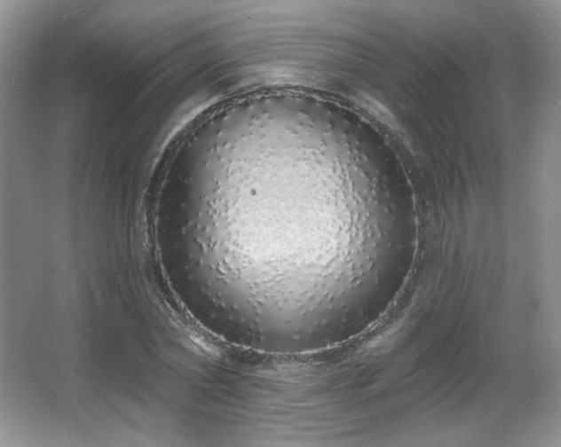 X0000067940782200604131448