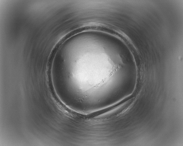 X0000067940783200604131448