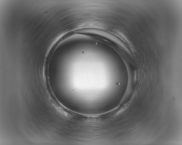 X0000067940788200604131447