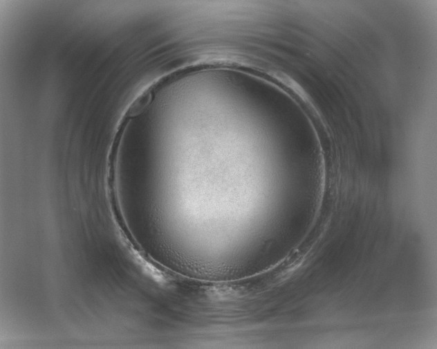 X0000067940799200604131447