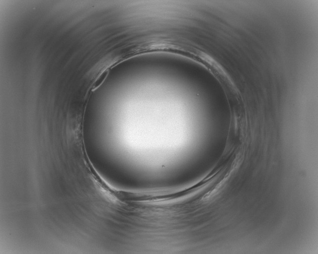 X0000067940801200604131447