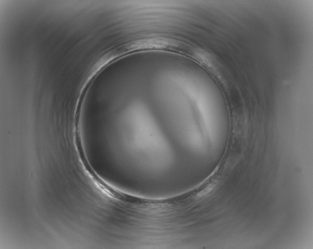 X0000067940802200604131447