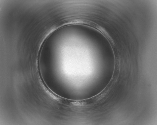 X0000067940805200604131447