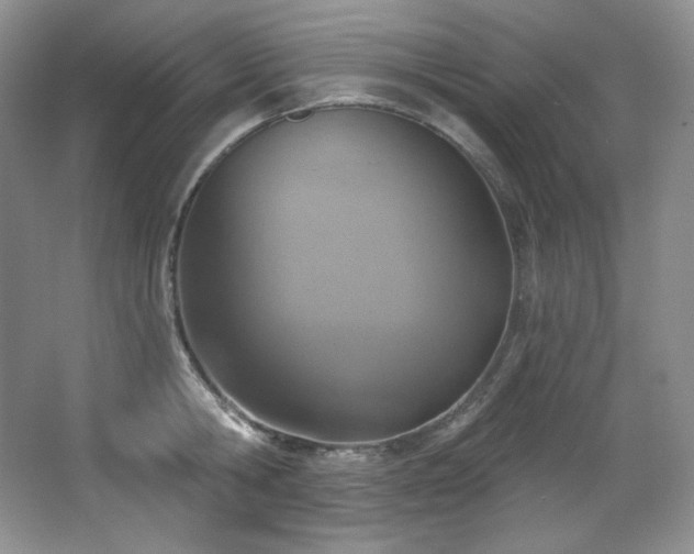 X0000067940806200604131447