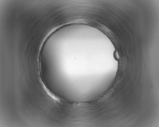 X0000067940808200604131447