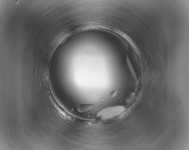 X0000067940809200604131447