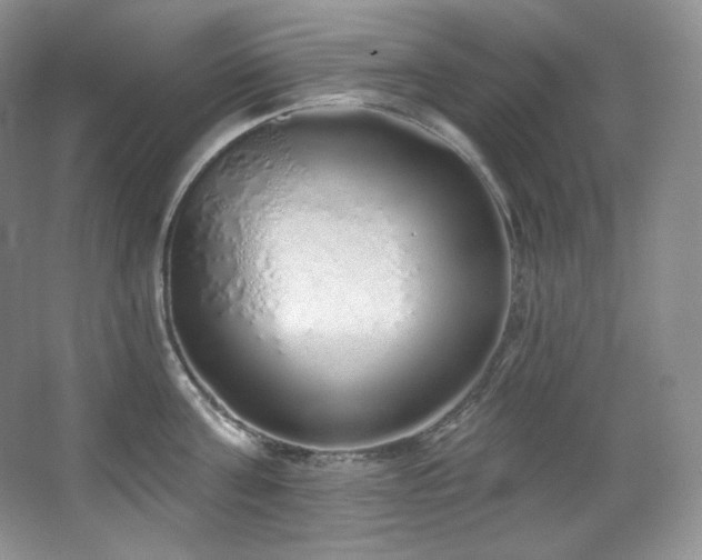 X0000067940811200604131447