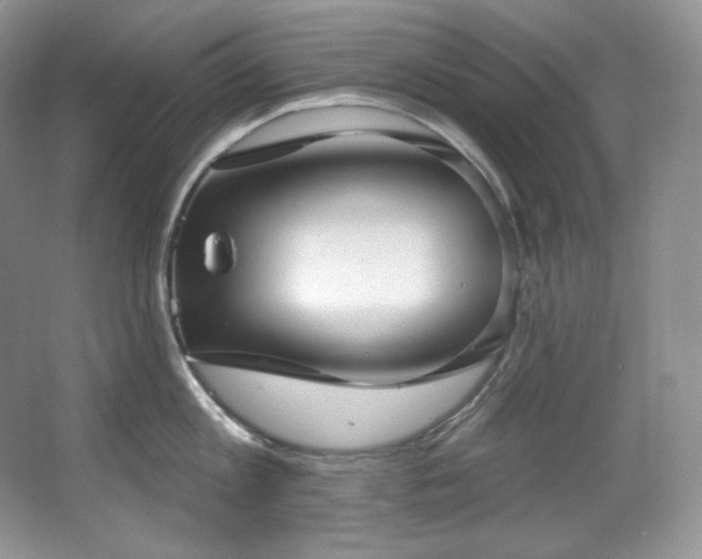 X0000067940813200604131447