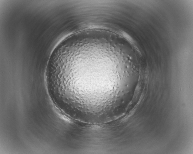 X0000067940814200604131447