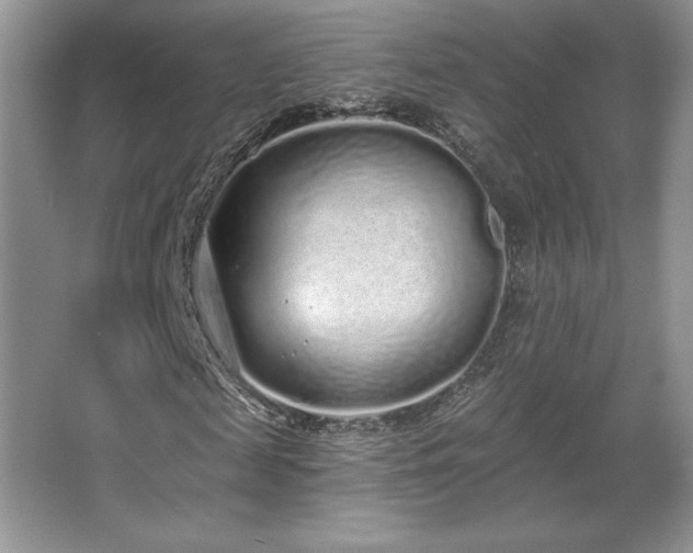 X0000067940817200604131446